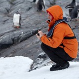 ter, Gentoo Penguins on Petermann Island